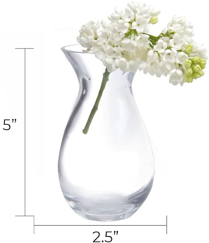 CHIVE ‘George’ Glass Bottle Flower Vases — Set of 6 — Small, Elegant Clear - Image 3