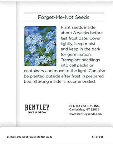 Bentley Seeds Growing Houses into Homes - Image 2