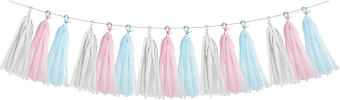 Gender Reveal Decorations Blue Pink by HongTongTong