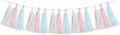 Gender Reveal Decorations Blue Pink by HongTongTong