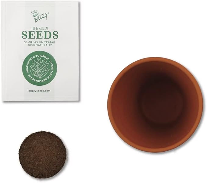 BUZZY Seeds Mini Terracotta Pots 12-Pack - Image 3