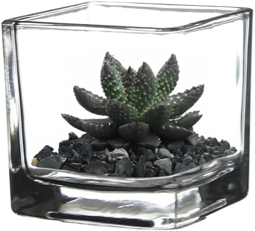 WGV 2 Inch Tea Light Votive Candle Holder, Square Cube 2”x2”, Small Tiny - Image 5