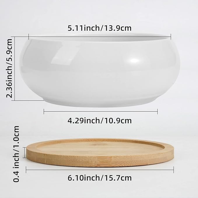 ZOUTOG 2 Pack Succulent Pots, 6 inch Ceramic Planters - Image 8