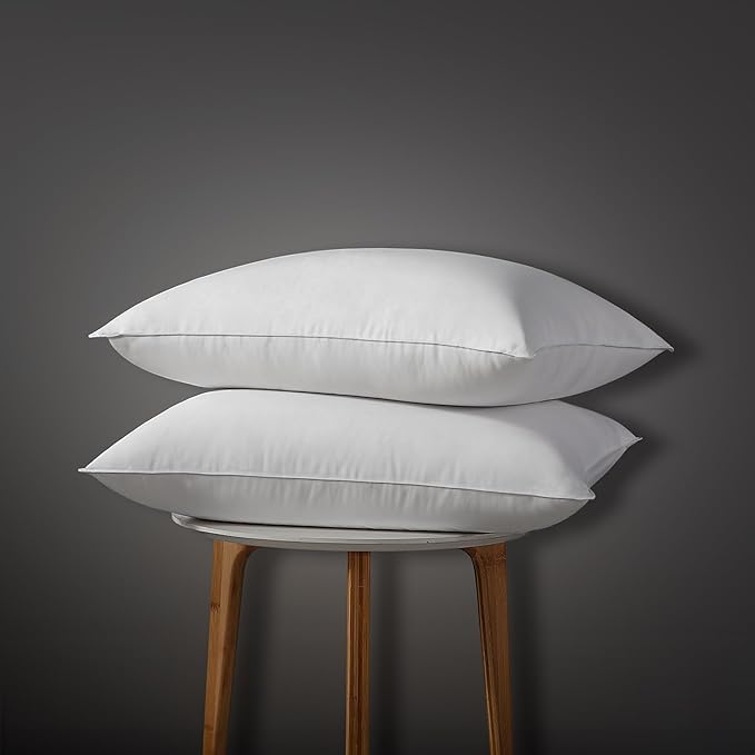 Globon Luxury Down Pillows Queen Size Set of 2 by Globon