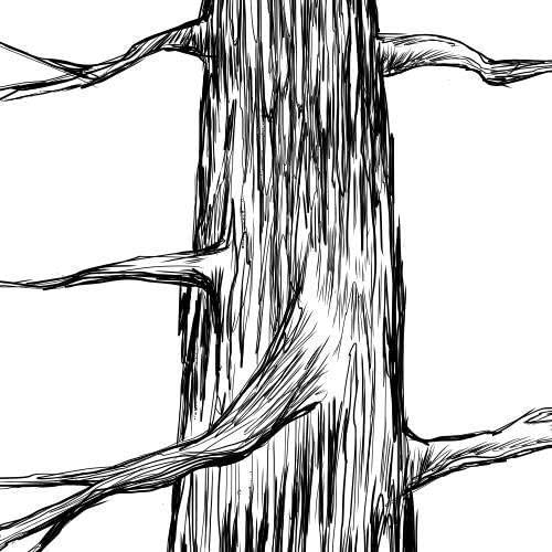 Guestbook Tree Signature Pine Tree - Image 4