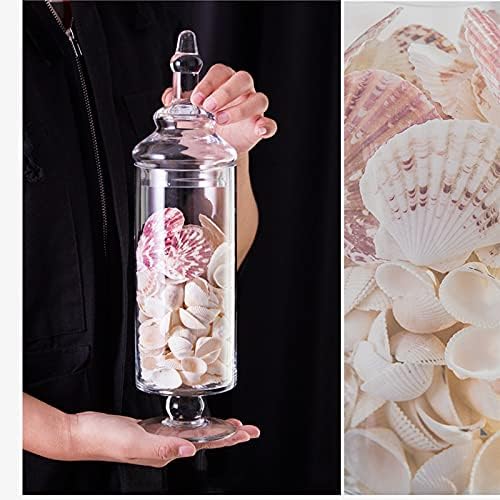 Glass Apothecary Jars Clear Elegant Decorative Buffet Jars Wedding Candy - Image 6