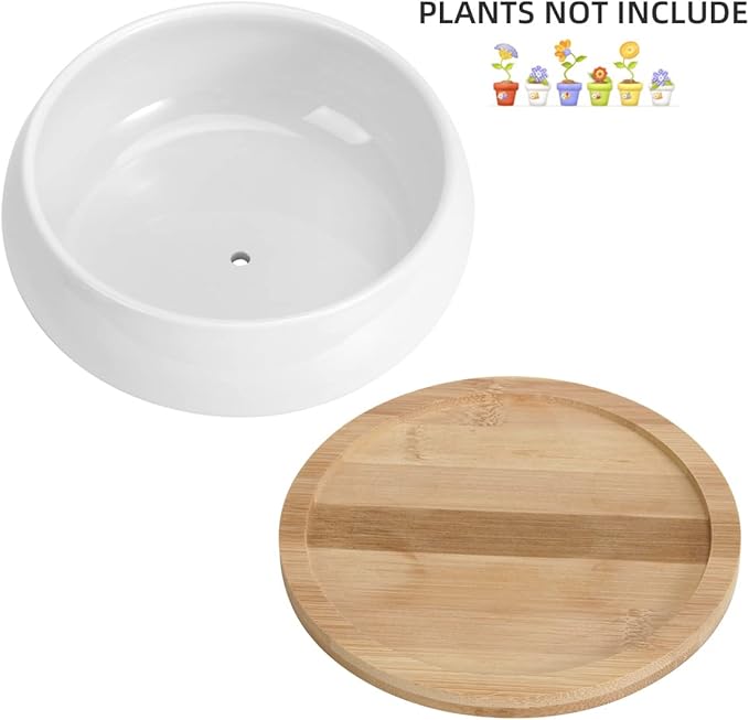 ZOUTOG 2 Pack Succulent Pots, 6 inch Ceramic Planters - Image 3