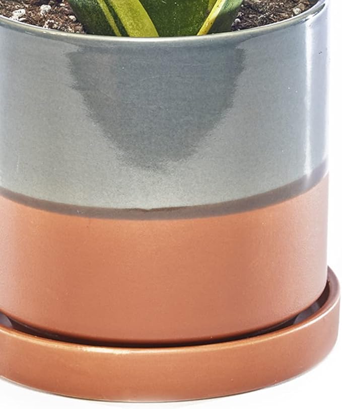CHIVE ‘Minute’ Ceramic Planter Pot — Cute 5” Colorful Succulent Pots - Image 2
