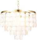 ALICE HOUSE 18.2" White Shell Chandeliers, Brushed Brass Finish, Coastal by ALICEHOUSE