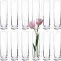12 Pack 7.5 Inch Glass Cylinder Bud Vases by LOSYHU