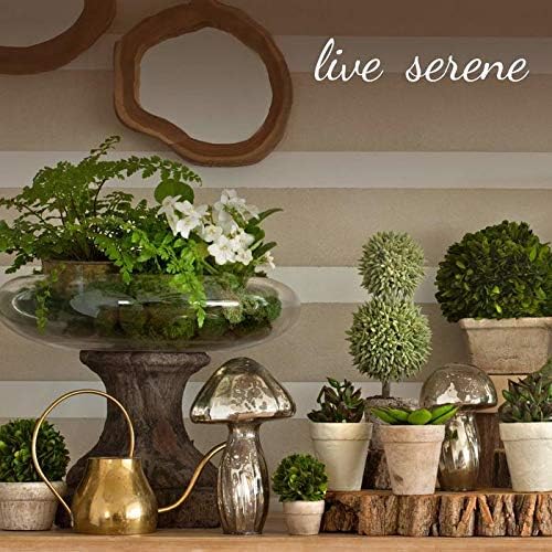 Serene Spaces Living Short Clear Ribbed Glass Votive Holder, Decorative - Image 7