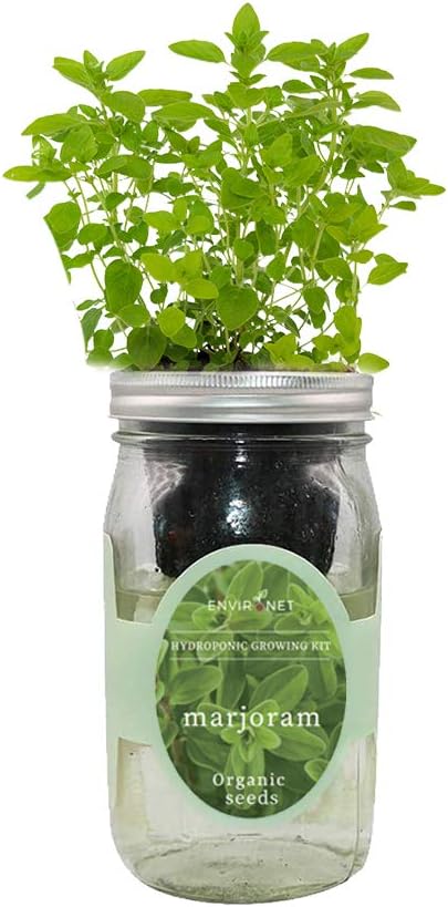 Hydroponic Herb Growing Kit, Self-Watering Mason Jar Herb Garden Starter Kit by Environet