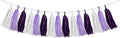 White Purple Party Decorations by HongTongTong