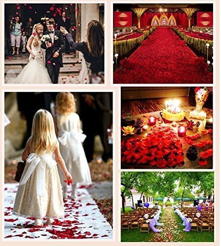 OCHARZY 3000 Fake Rose Petals for Wedding & Events - Image 5