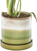 CHIVE ‘Minute’ Ceramic Planter Pot — Cute 5” Colorful Succulent Pots by Chive