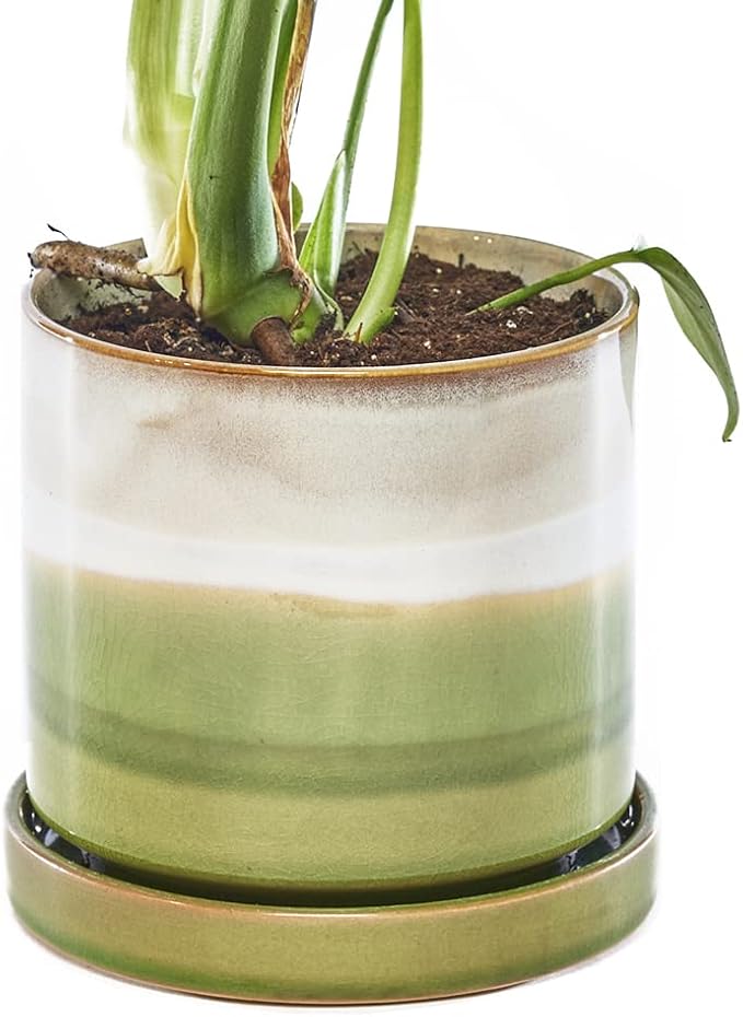 CHIVE ‘Minute’ Ceramic Planter Pot — Cute 5” Colorful Succulent Pots by Chive