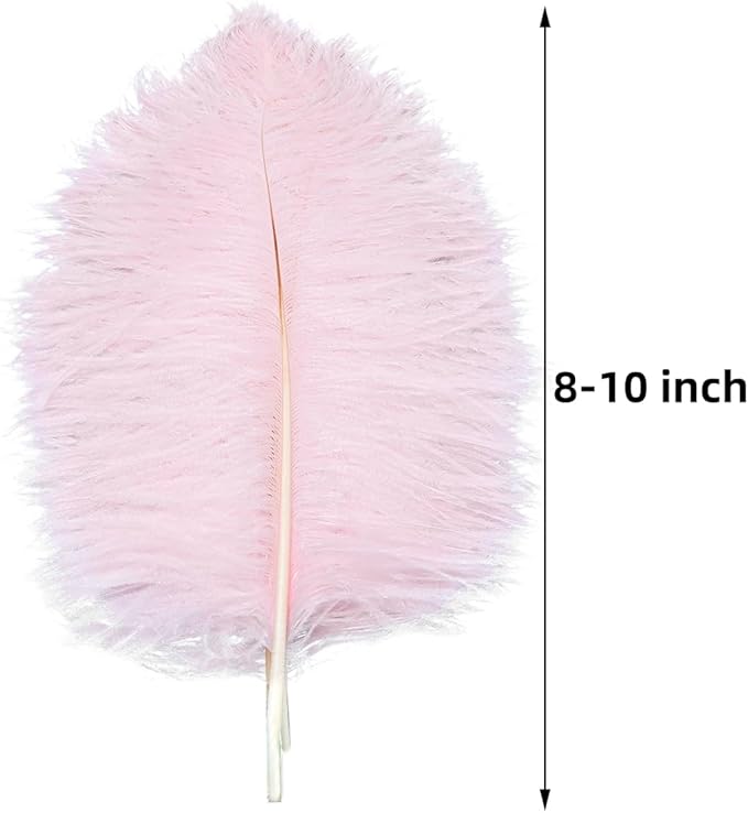 Ballinger Light Pink Ostrich Feathers - Image 3