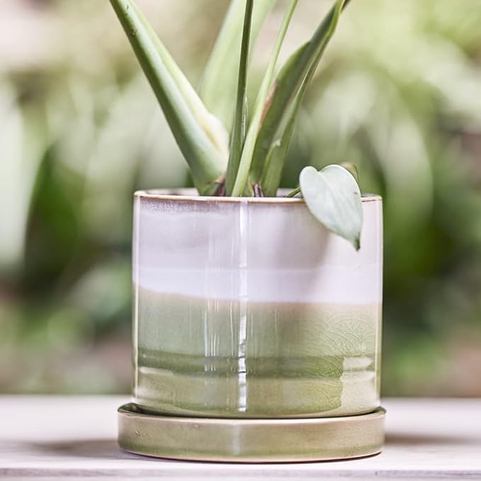 CHIVE ‘Minute’ Ceramic Planter Pot — Cute 5” Colorful Succulent Pots - Image 4