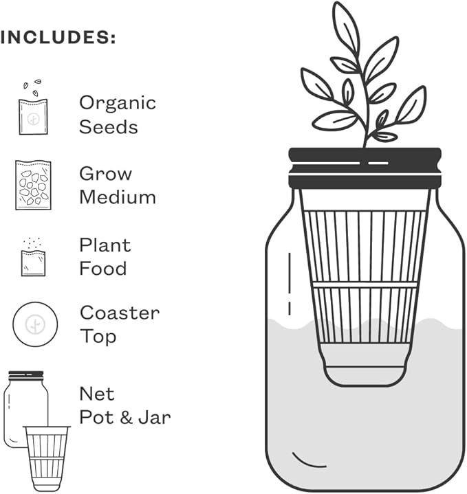 Modern Sprout Mason Garden Jar - Image 6