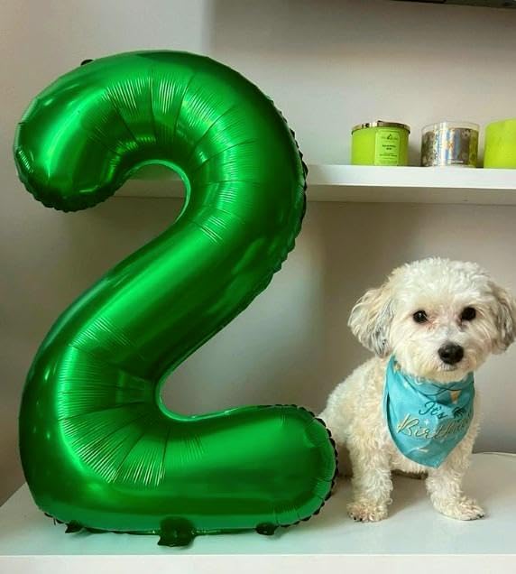 40 Inch Big Green Number 20 Balloon Birthday Decoration, Number 20 Helium - Image 5