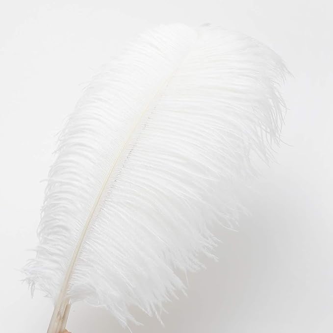 24pcs Natural White Ostrich Feathers 10-12inch - Image 3
