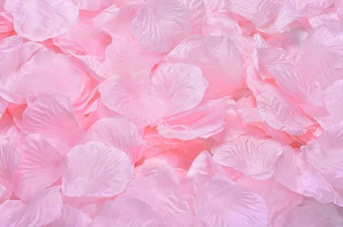 ocharzy 1000pcs Rose Petals Artificial Silk Flower Rose Petals by ocharzy