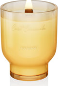 M&SENSE 16.6oz Natural Soy Large Jar Candle by MSENSE