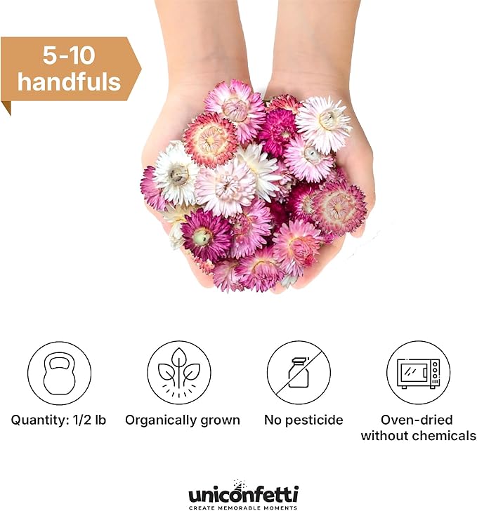 Dried Flower Pink Straw Daisy Biodegradable Confetti - Image 2