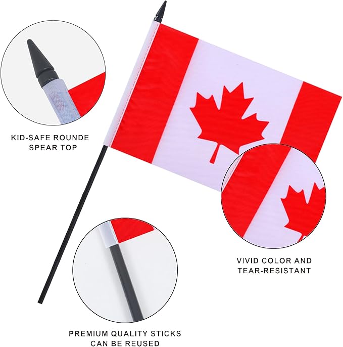 Canada Desk Flag 12" Solid Pole Deluxe Set Canadian Flags Banner Mini Small - Image 4