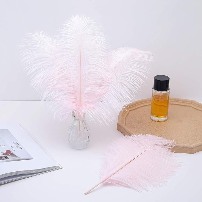 Ballinger Light Pink Ostrich Feathers - Image 5