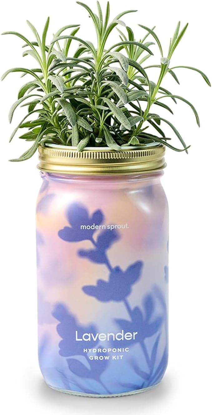 Modern Sprout Mason Garden Jar by ModernSprout