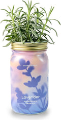Modern Sprout Mason Garden Jar by ModernSprout