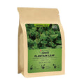 FullChea - Plantain Leaf Tea, 4oz/114g - Broadleaf Plantago Major Herbal Tea - by FullChea