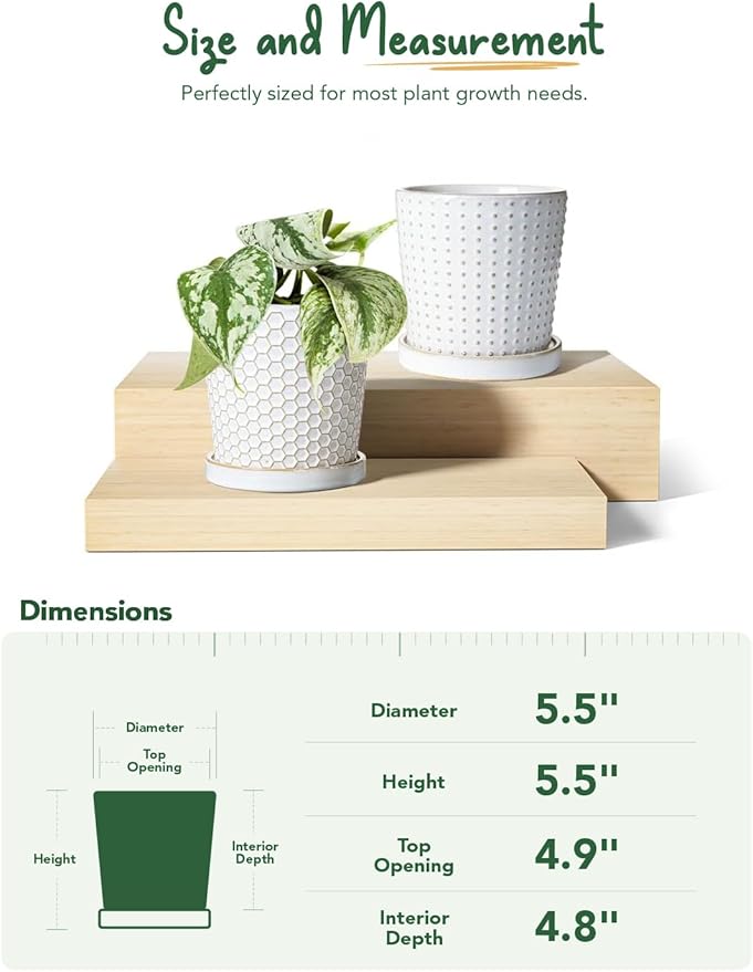 LE TAUCI Ceramic Plant Pots, 5.4 Inch Pots - Image 5