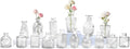 Glass Bud Vase Set of 16, Small Vases by Tivcck