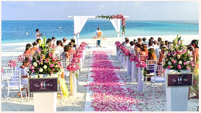 ocharzy 1000 PCS Rose Petals Fake Rose Petals - Image 4