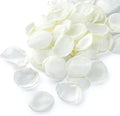 Artificial Ivory White Rose Petals 300pcs Reusable Silk Rose Petals Separated by NeaticooRose