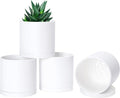 D'vine Dev 4 Pack 4 Inch Modern Plastic Plant Pots, Small Garden Planters by DvineDevPlanterPotsandStand
