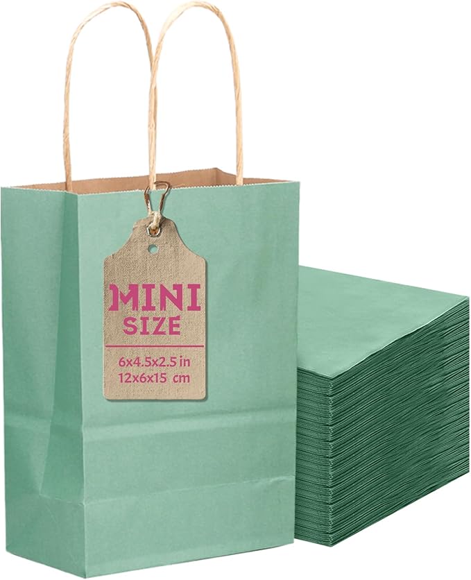 qiqee 24 Pcs Light Blue Mini Paper Gift Bags by Qiqee