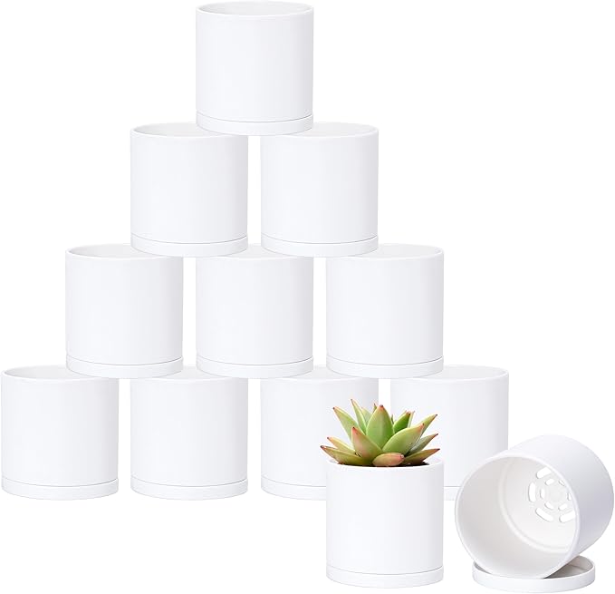 D'vine Dev 12 Pack 3.5 Inch Mini Plastic Plant Pots, Small Garden Planters by DvineDevPlanterPotsandStand