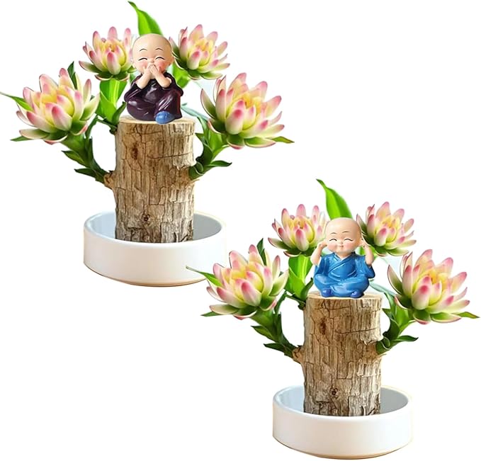 Brazilian Lucky Wood Plant Kit, Lucky Wood Doesn't Need to Wait to Sprout by Unknown
