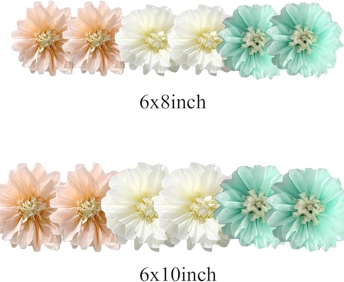 12pcs 8in 10in Paper Flowers Tissue Flowers Pom Mint Cream Peach Kit Paper Pom - Image 2