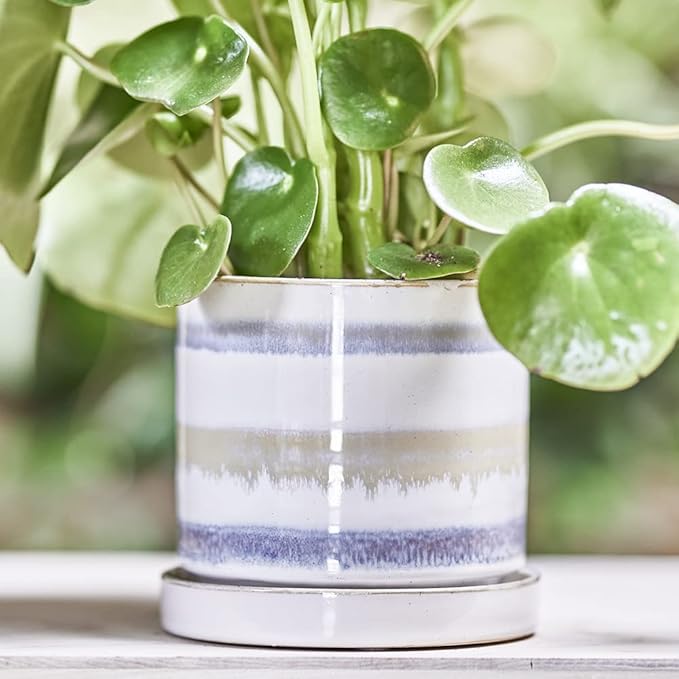 CHIVE ‘Minute’ Ceramic Planter Pot — Cute 5” Colorful Succulent Pots - Image 4