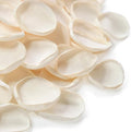 Floroom 500pcs Rose Petals Cream Faux Silk Flower Petals by Floroom