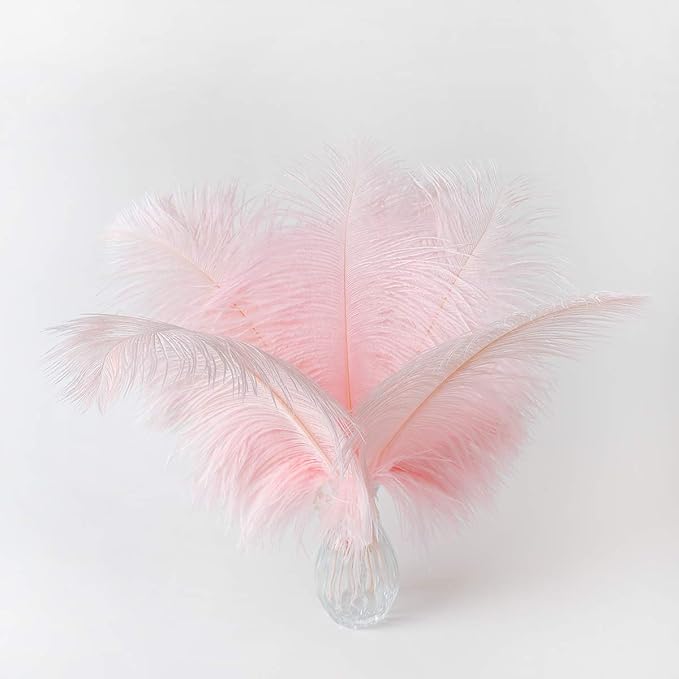 Ballinger Light Pink Ostrich Feathers by Ballinger