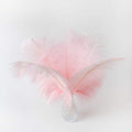 Ballinger Light Pink Ostrich Feathers by Ballinger