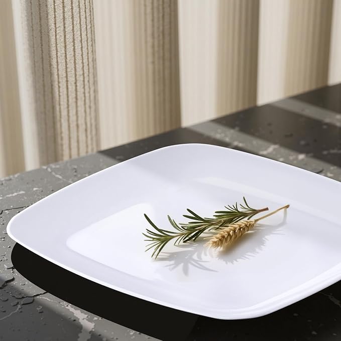 PULOTE 100PCS White Plastic Plates - Image 9