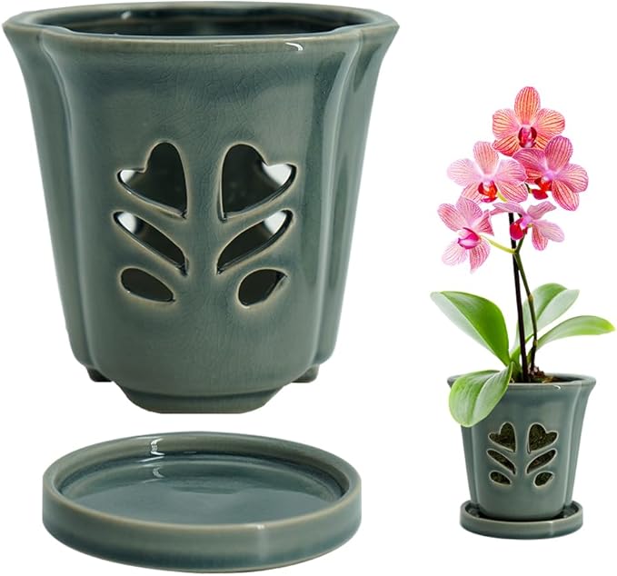 4 Inch Orchid Pot, Orchid Pots by pavtner