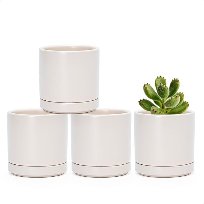 D'vine Dev Set of 4 Small Ceramic Plant Pots, 3.5 Inch Succulent Planter Pot by DvineDevPlanterPotsandStand