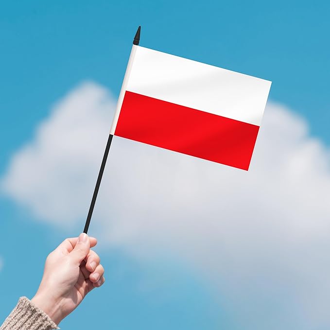 2 Pack Poland Desk Flag Set, Polish Desktop Small Miniature Table Office Flag - Image 7